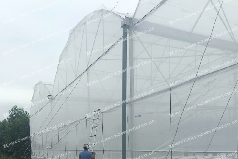Nhà kính sử dụng màng Plastika Kritis Sun Master