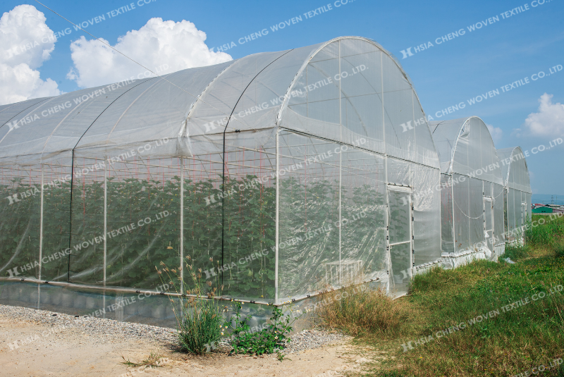 Lưới chắn côn trùng HDPE trong nông nghiệp công nghệ cao