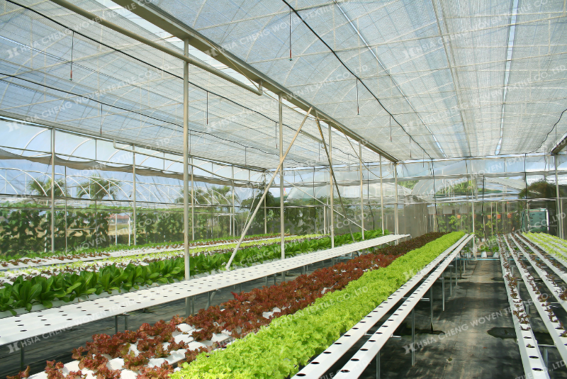 Lưới che nắng dệt thoi trong nhà kính nông nghiệp