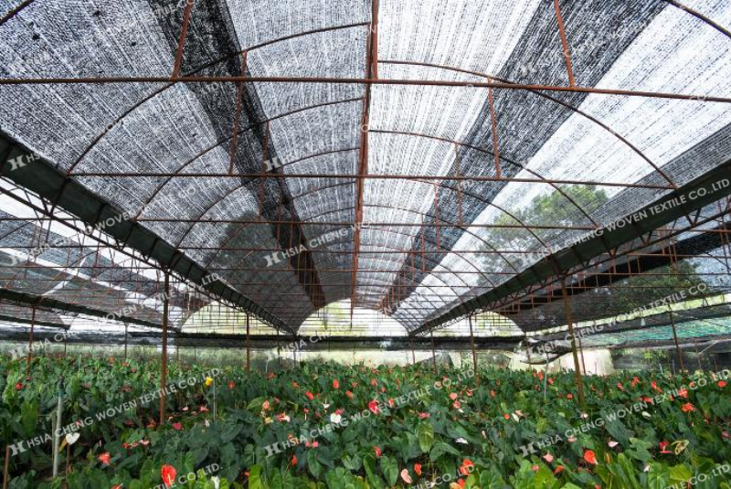 Lưới che nắng dệt thoi giúp giảm cường độ nắng gắt hiệu quả