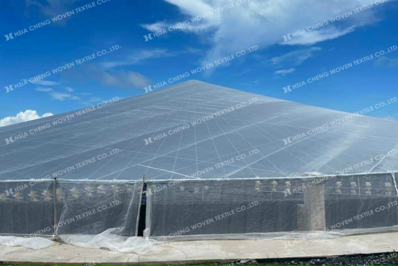 Lưới chắn côn trùng 32 mesh
