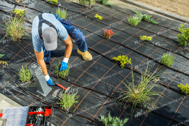 Kết hợp bạt chống cỏ HDPE và tưới nhỏ giọt 