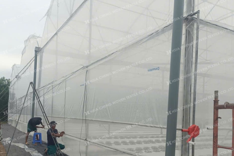 Màng nhà kính Plastika Kritis Sun Master 