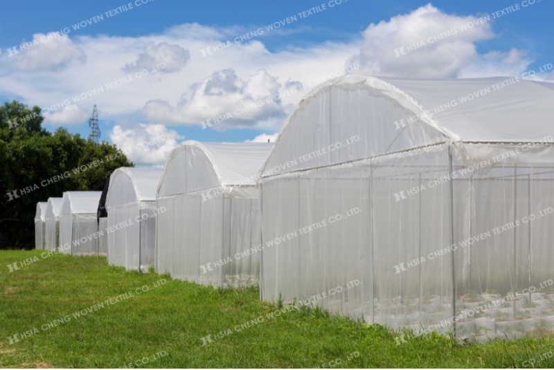 Lưới chắn côn trùng 50 mesh trong nhà màng trồng dưa lưới