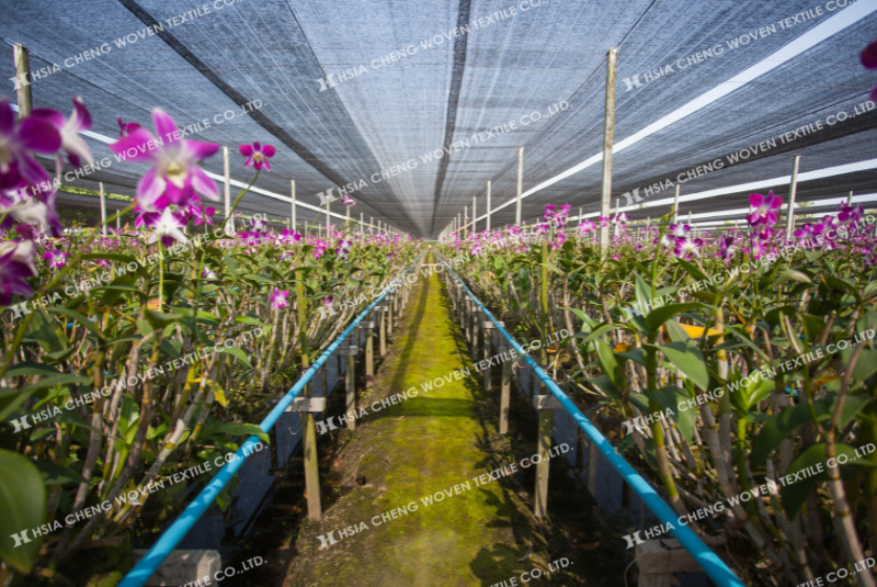 Lưới lan 70% 