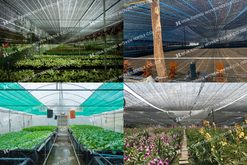 Lưới lan 70% đa dạng ứng dụng trong nông nghiệp