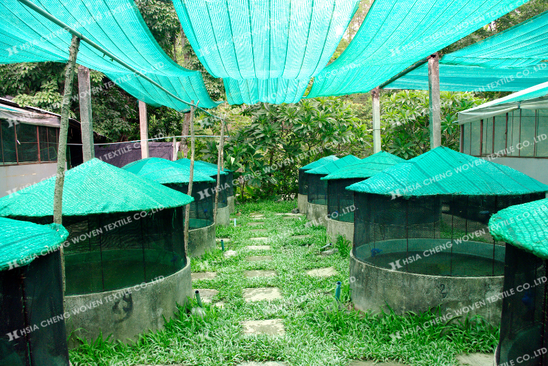 Ứng dụng lưới che nắng dệt thoi trong mô hình ao nuôi