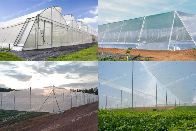 so-sanh-luoi-18-mesh-25-mesh-32-mesh