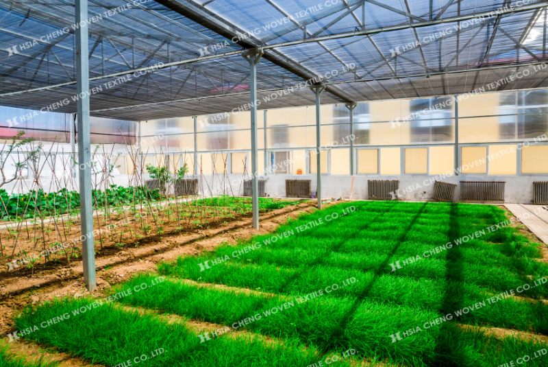 Liệu dùng lưới che nắng làm cây chậm phát triển hay không Liệu dùng lưới che nắng làm cây chậm phát triển hay không