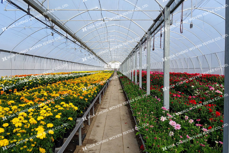 Màng nhà kính Plastika Kritis Sun Master tối ưu cho khí hậu nóng