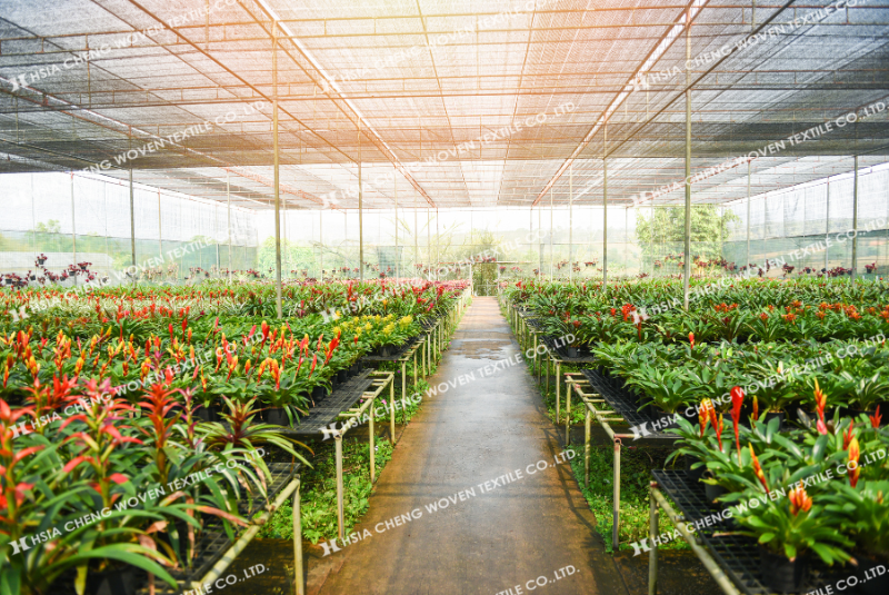 Lưới dệt thoi màu đen APON phù hợp nhiều mô hình nhà kính
