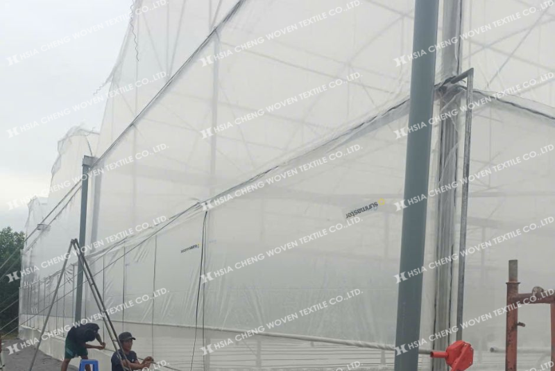 Màng nhà kính Sun Master với công nghệ chống đọng sương phù hợp nhiều mô hình 