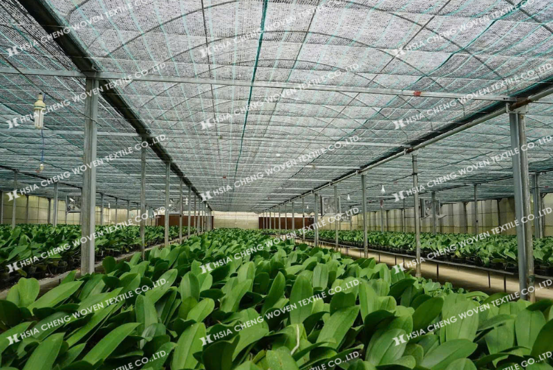 Chọn lưới che nắng cho nhà màng giúp kiểm soát tốt khí hậu cho cây trồng Chọn lưới che nắng cho nhà màng