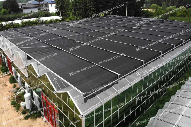 Lưới che nắng được sử dụng phổ biến trong nông nghiệp