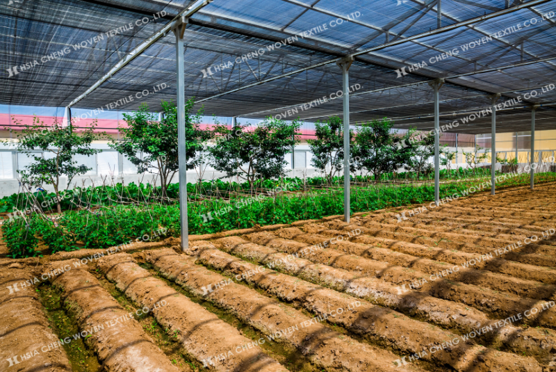 Lưới che nắng dệt kim APON phù hợp nhiều mô hình nông nghiệp