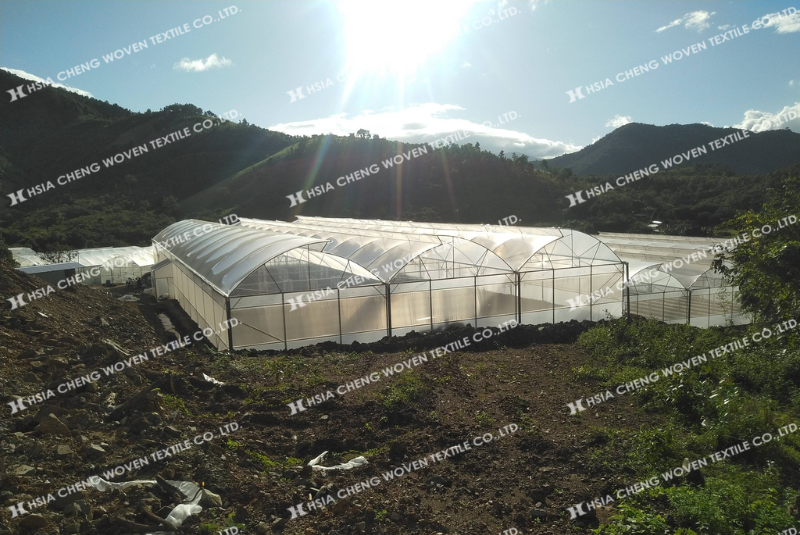 Khả năng chống tia UV màng nhà kính là rất quan trọng Khả năng chống tia UV màng nhà kính là rất quan trọng